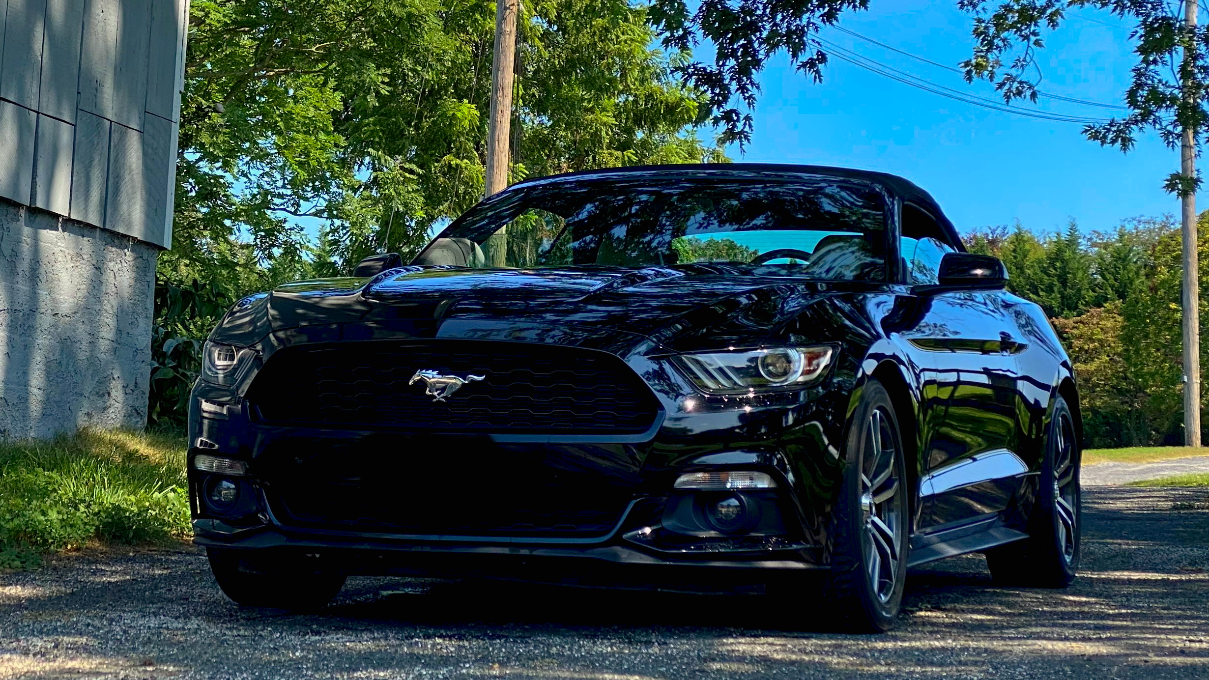 Black Ford Mustang with Ceramic Coating